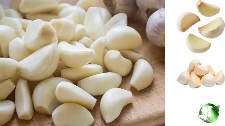 Commercial presentation of Peeled Garlic for wholesale product evaluation and buyer review.
